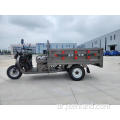 قوة قوية 60V 1000W سيارة ثلاثية الدراجات الكهربائية فان